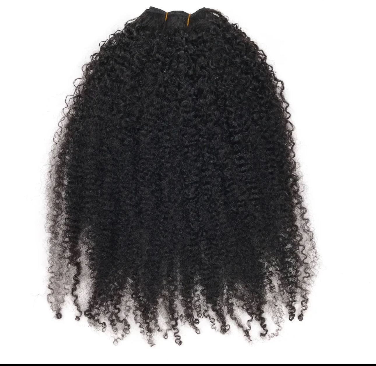 Papaya curl (4A / 4B)